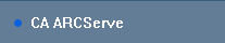 CA ARCServe